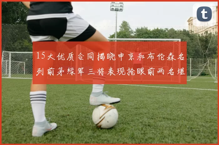 15大优质合同揭晓申京和布伦森名列前茅绿军三将表现抢眼前两名堪称传奇